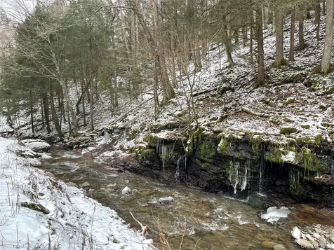 Carcass Brook Spur Hancock NY 13783