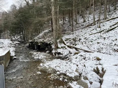 Carcass Brook Spur Hancock NY 13783