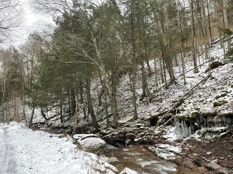 Carcass Brook Spur Hancock NY 13783