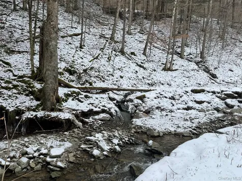 Carcass Brook Spur Hancock NY 13783