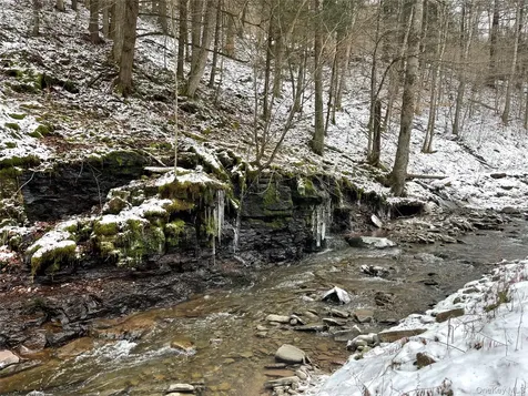 Carcass Brook Spur Hancock NY 13783