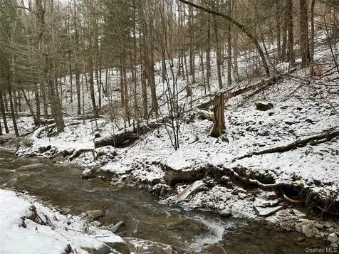 Carcass Brook Spur Hancock NY 13783