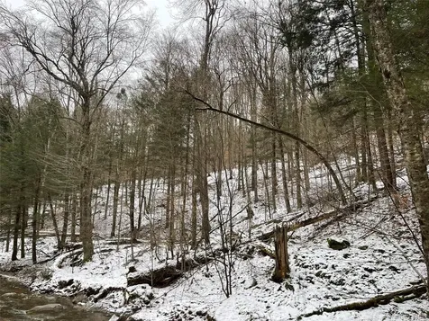 Carcass Brook Spur Hancock NY 13783