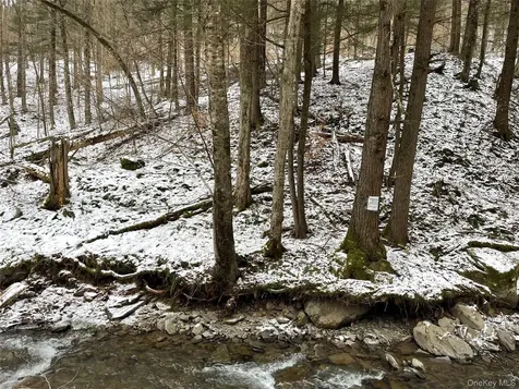 Carcass Brook Spur Hancock NY 13783