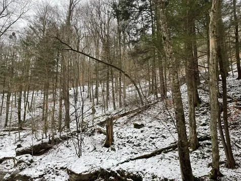 Carcass Brook Spur Hancock NY 13783
