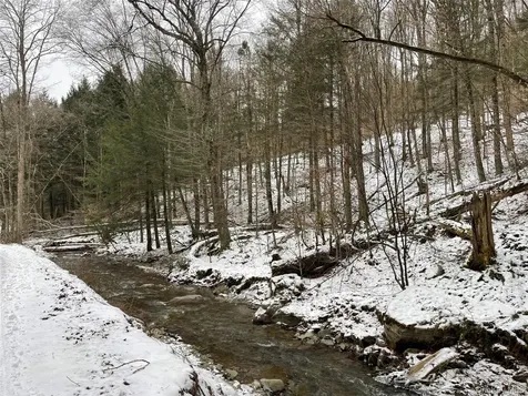 Carcass Brook Spur Hancock NY 13783