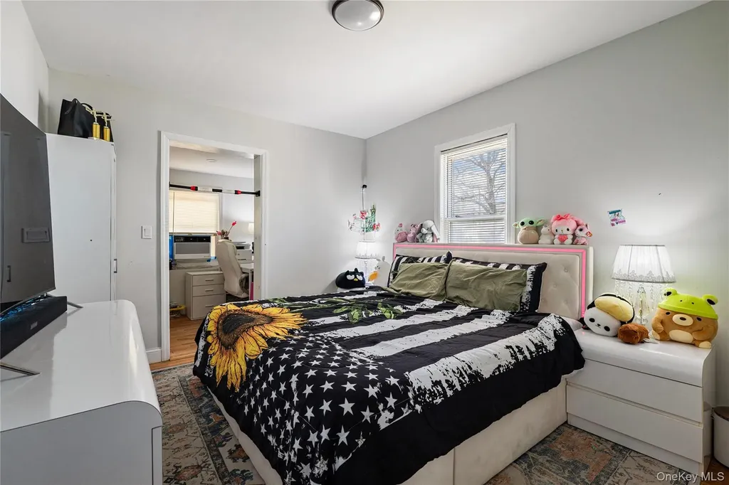 236 Maple Place Mineola NY 11501