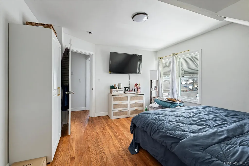 236 Maple Place Mineola NY 11501