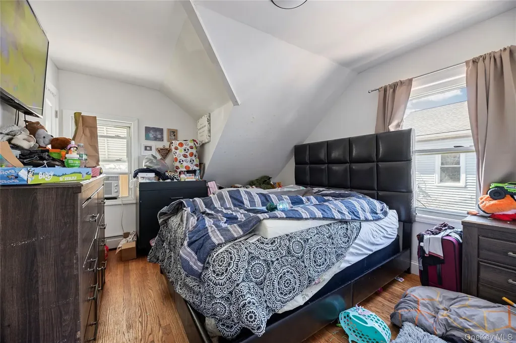 236 Maple Place Mineola NY 11501