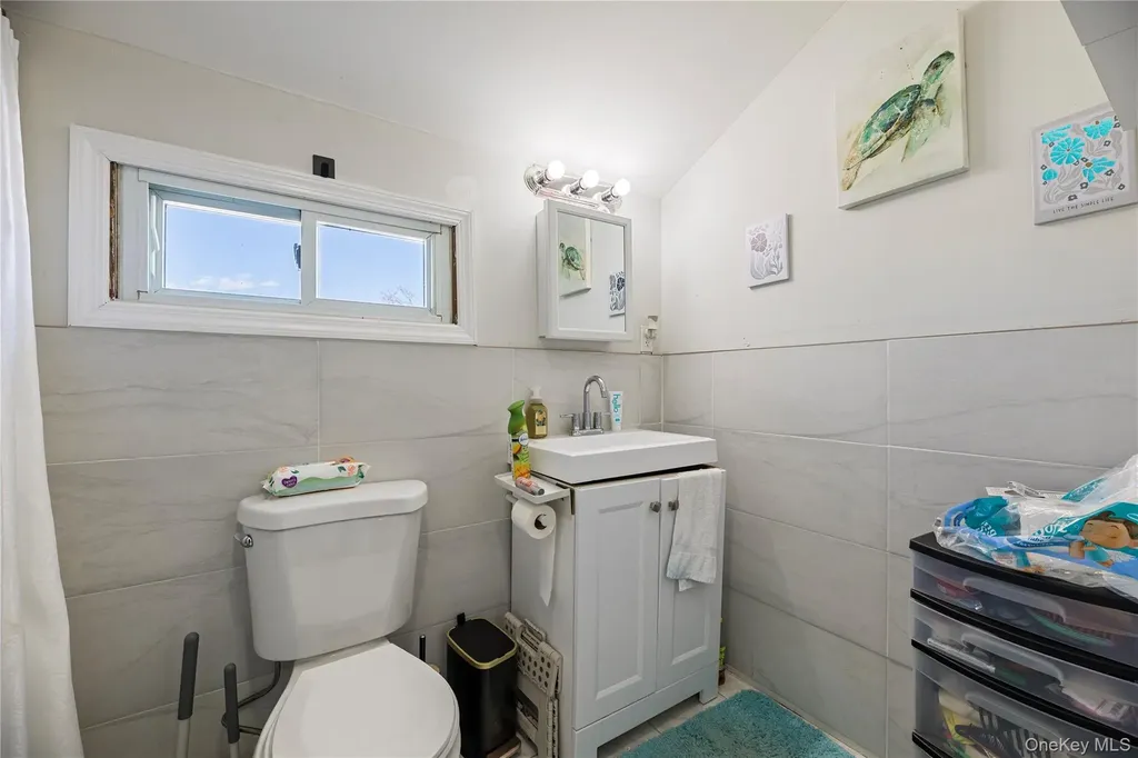 236 Maple Place Mineola NY 11501