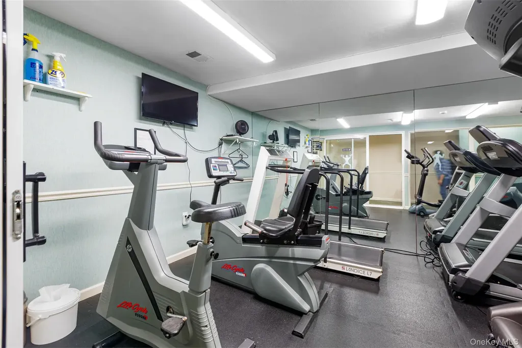 48 Southgate Circle Massapequa Park NY 11762