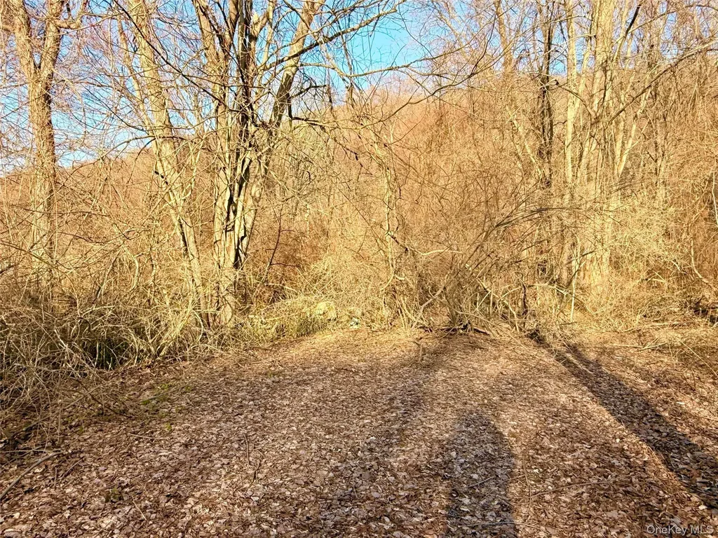 Route 22 Wingdale NY 12594