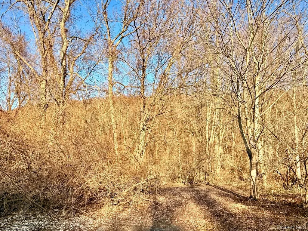 Route 22 Wingdale NY 12594