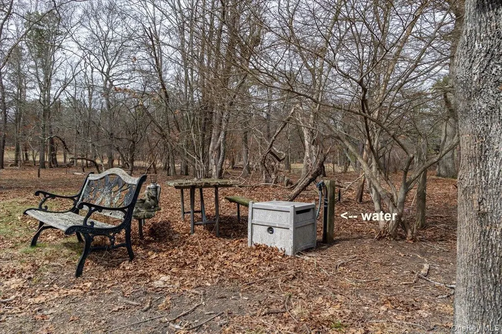 309 Primrose Path Manorville NY 11949