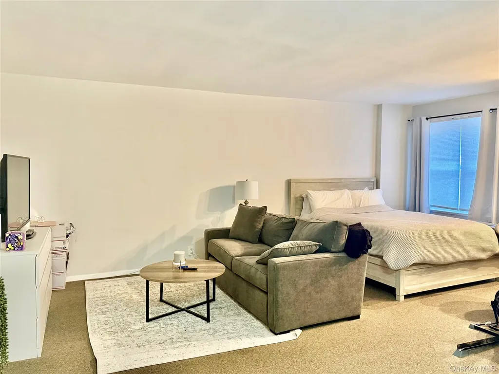 100 Lincoln Avenue Mineola NY 11501