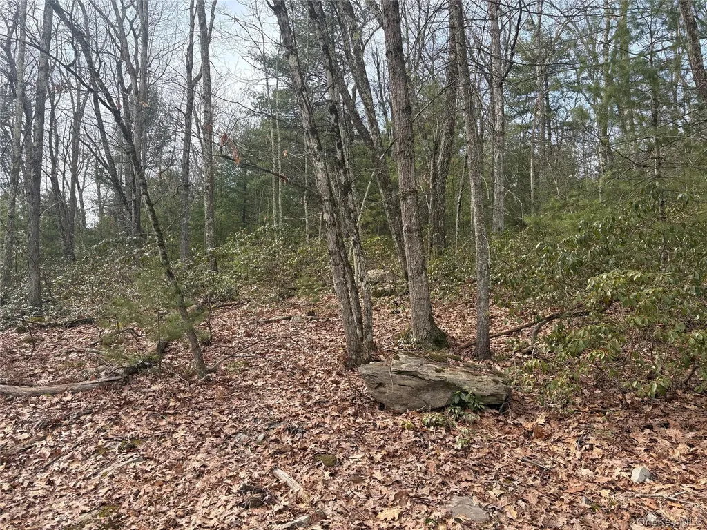 Bennett Road Napanoch NY 12458