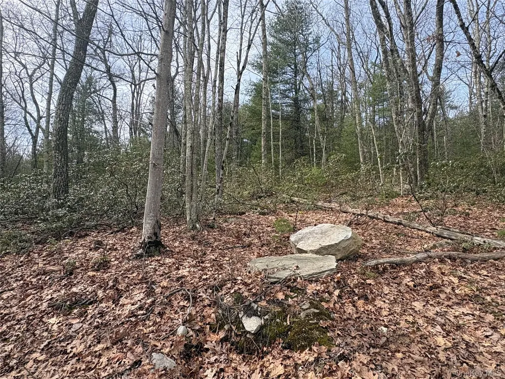 Bennett Road Napanoch NY 12458