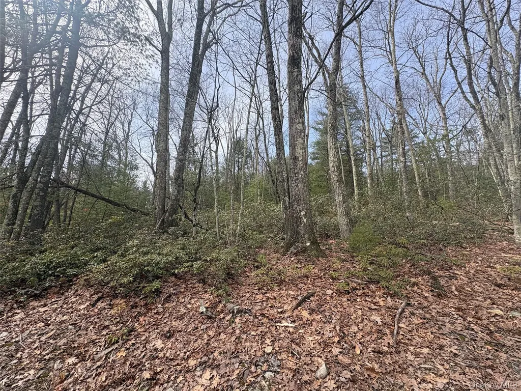 Bennett Road Napanoch NY 12458