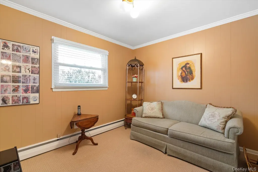 9 Ellis Drive Syosset NY 11791