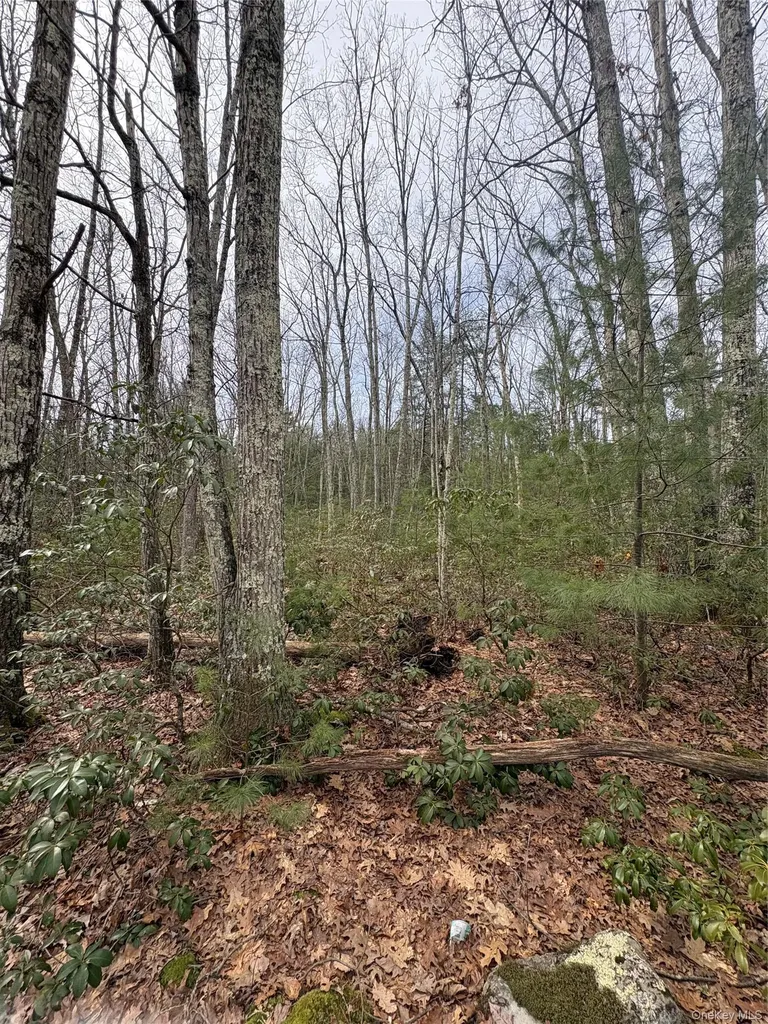 Bennett Road Napanoch NY 12458