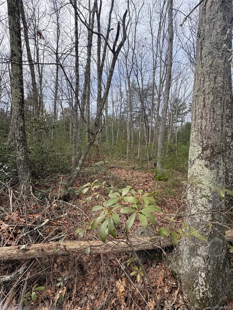Bennett Road Napanoch NY 12458