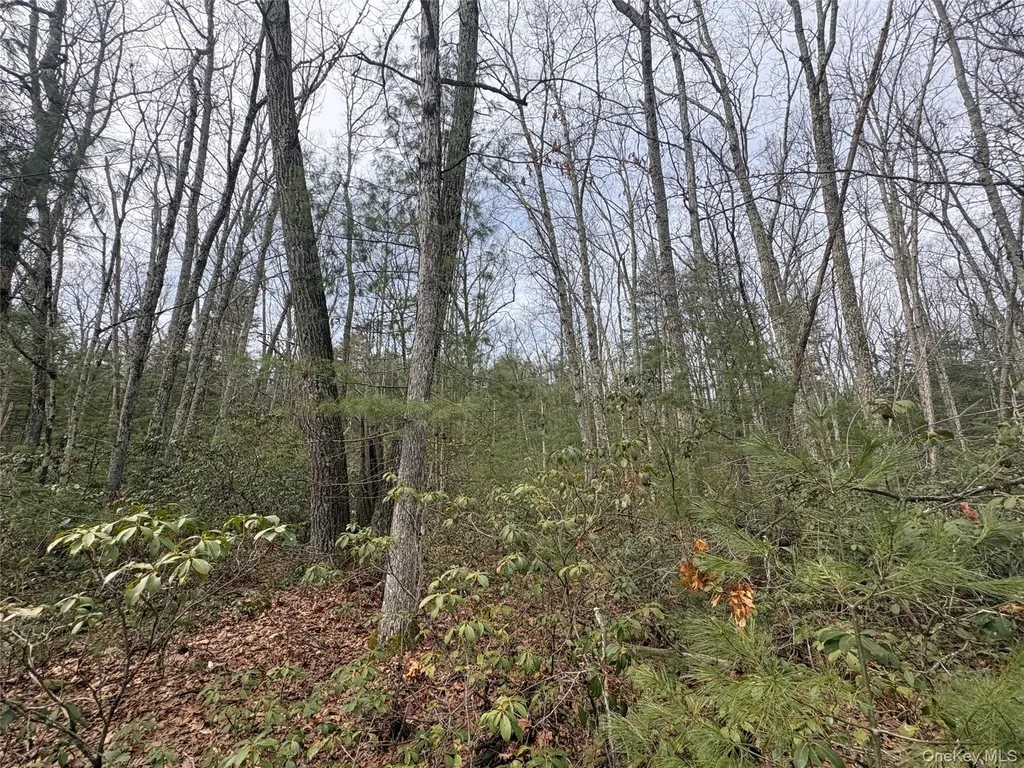Bennett Road Napanoch NY 12458