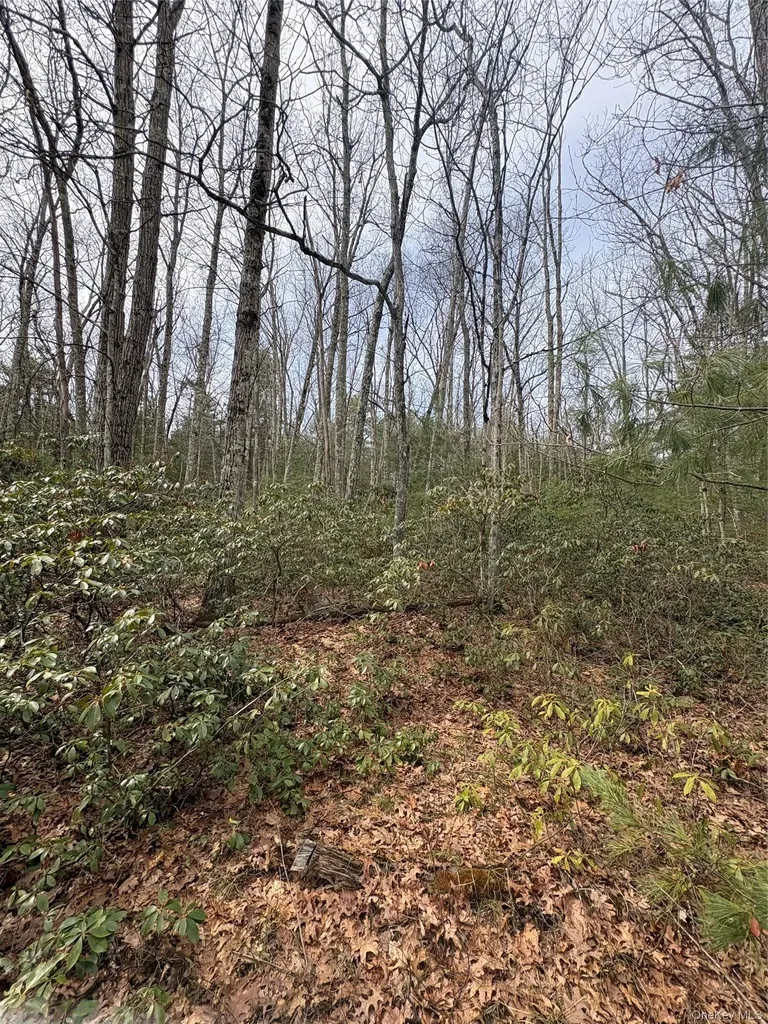 Bennett Road Napanoch NY 12458