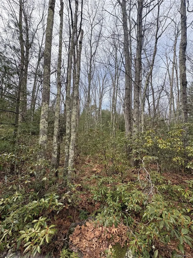 Bennett Road Napanoch NY 12458