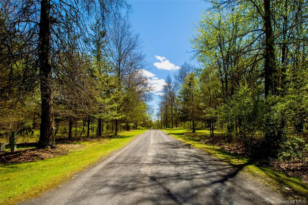15 Unity Lane New Paltz NY 12561