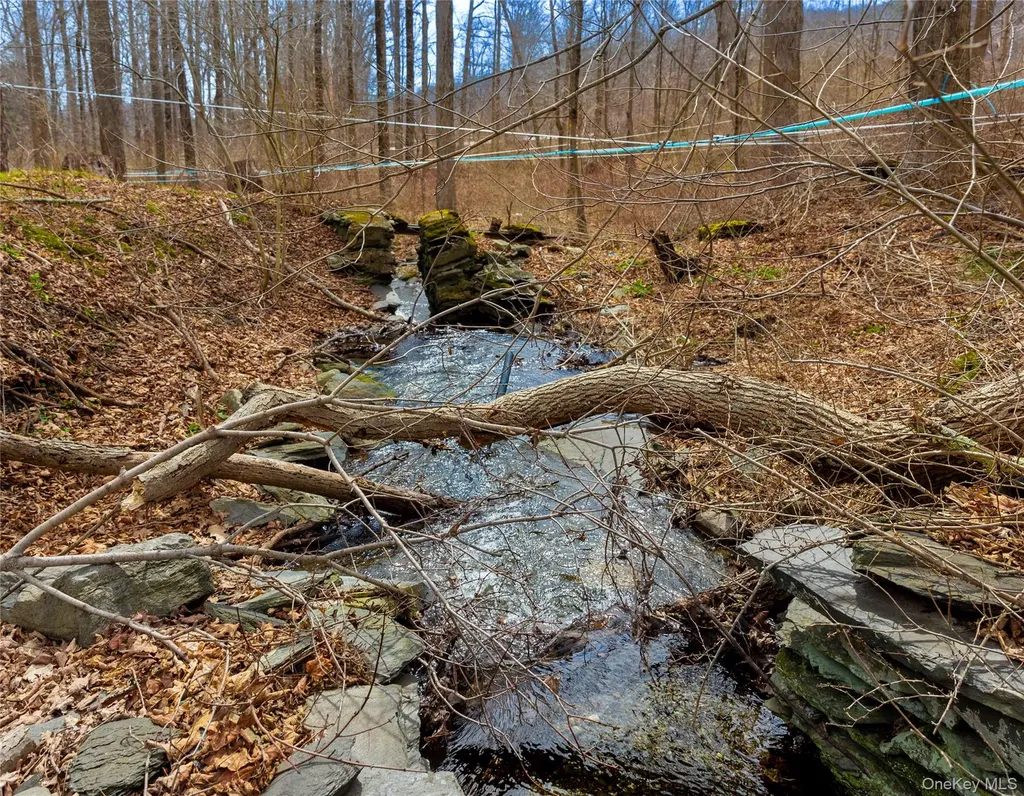 21-23 Tinker Town Road Dover Plains NY 12522