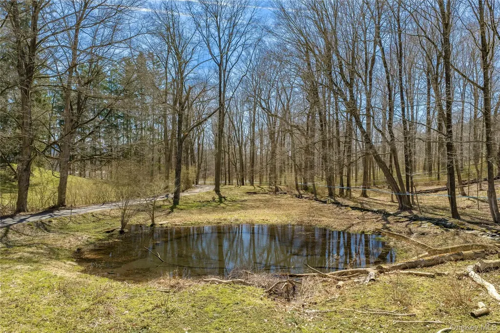 21-23 Tinker Town Road Dover Plains NY 12522