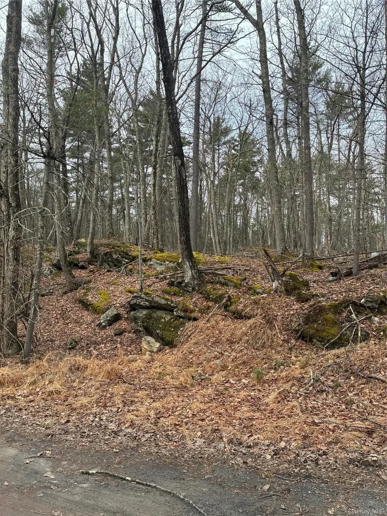 Rambling Road Wurtsboro NY 12790