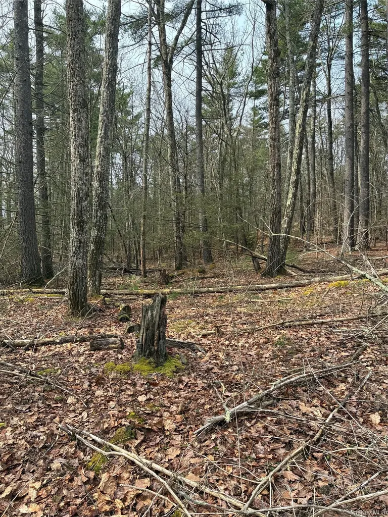 Rambling Road Wurtsboro NY 12790
