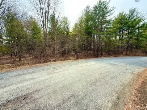 34 Ichabod Crane Circle Coxsackie NY 12051
