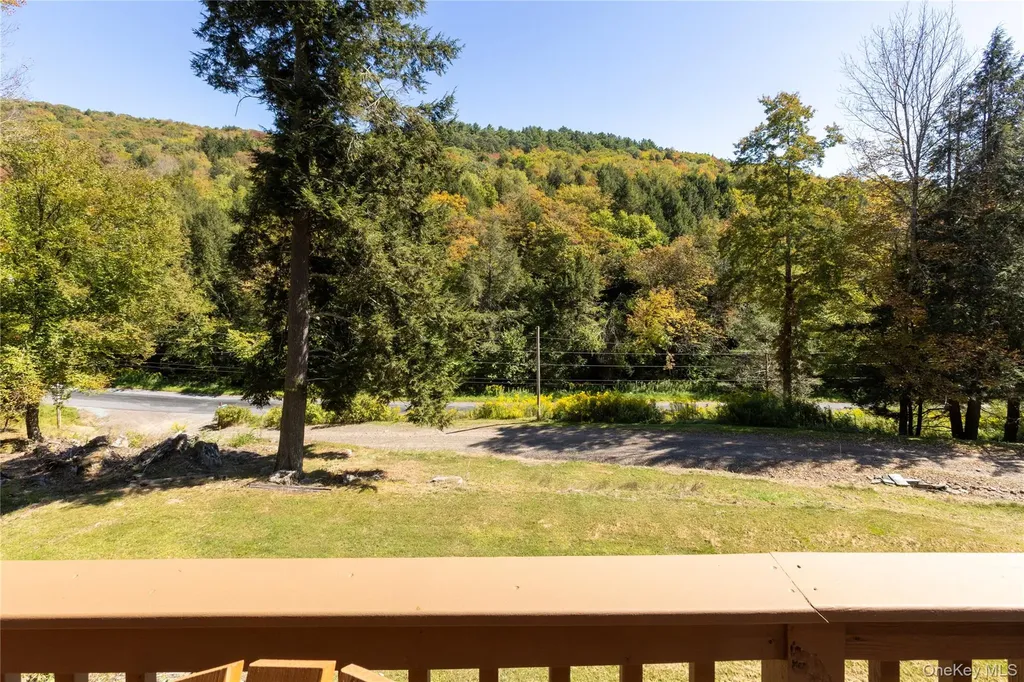 815 Covert Hollow Road Hamden NY 13782