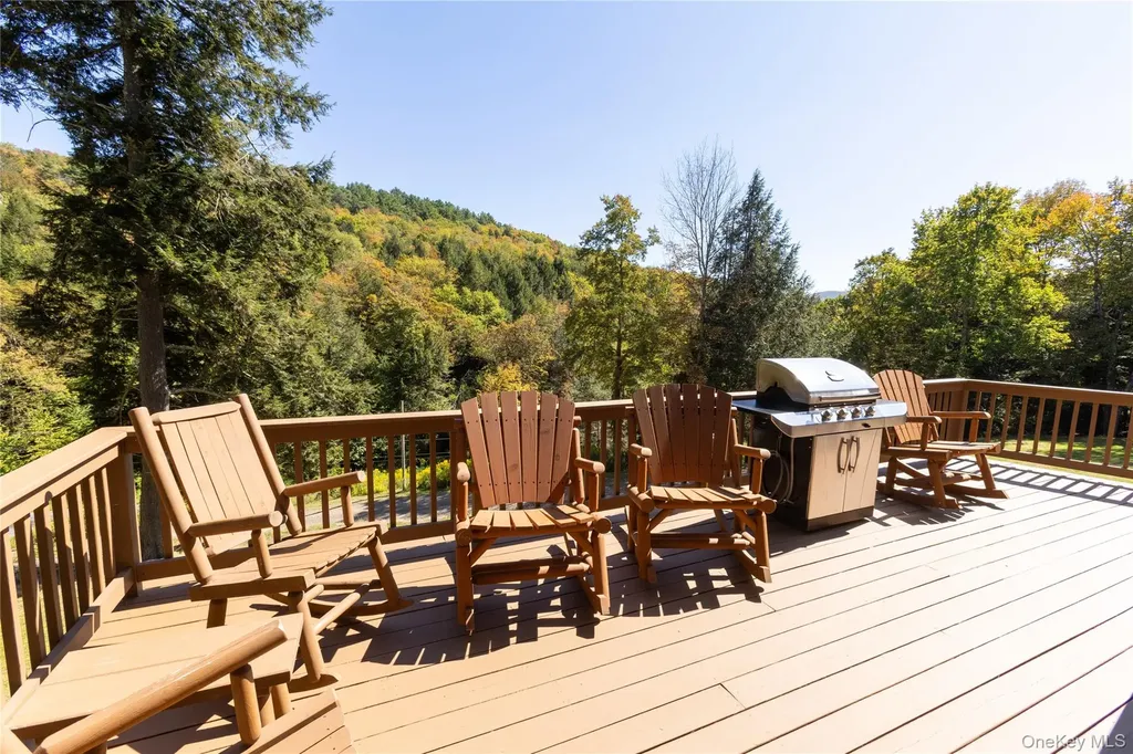 815 Covert Hollow Road Hamden NY 13782