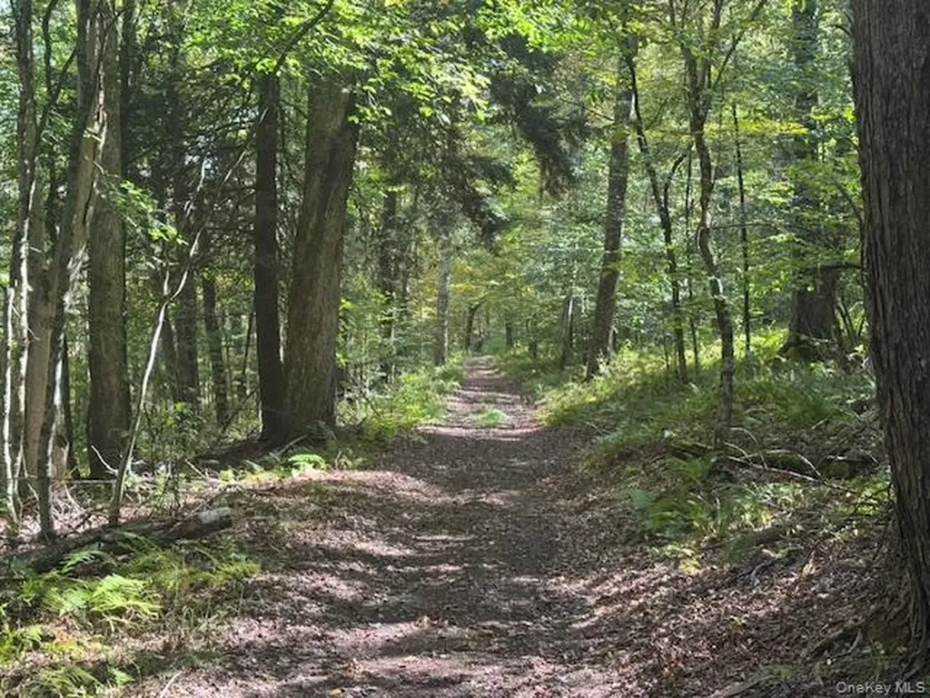 815 Covert Hollow Road Hamden NY 13782