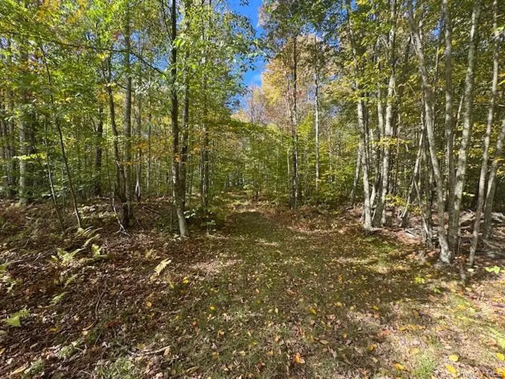 815 Covert Hollow Road Hamden NY 13782