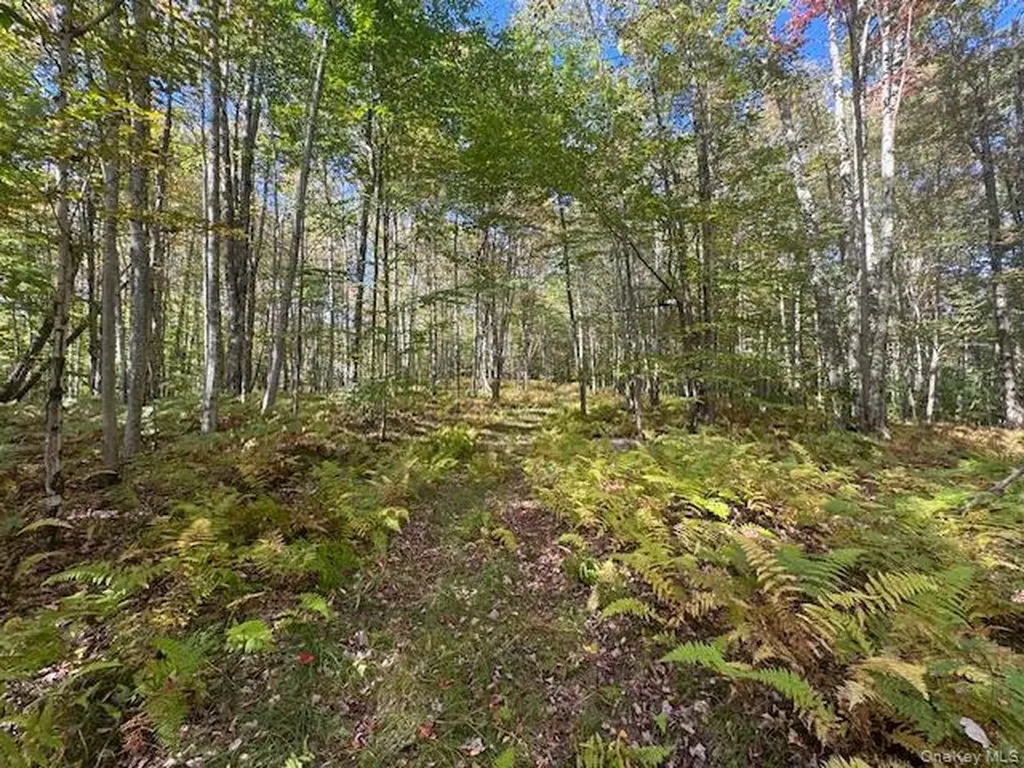 815 Covert Hollow Road Hamden NY 13782