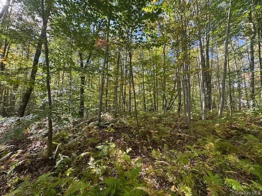 815 Covert Hollow Road Hamden NY 13782