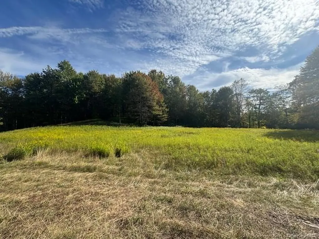 815 Covert Hollow Road Hamden NY 13782