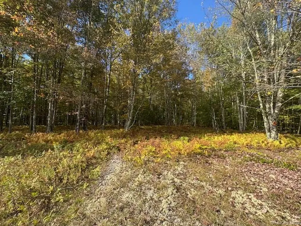 815 Covert Hollow Road Hamden NY 13782
