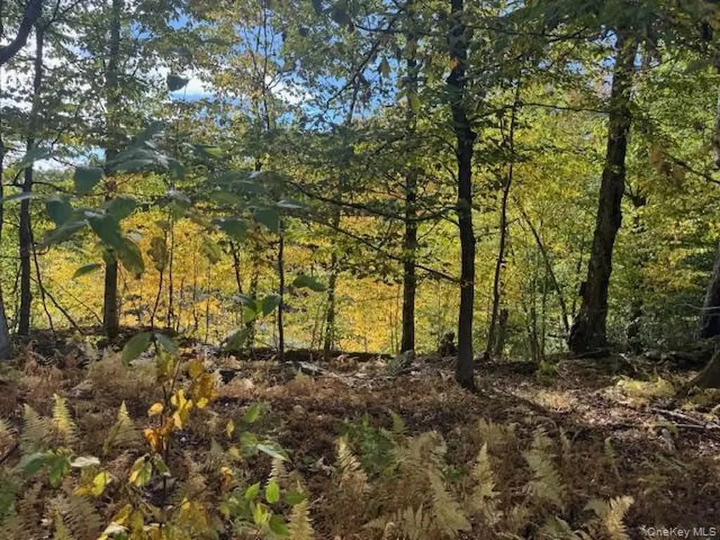 815 Covert Hollow Road Hamden NY 13782
