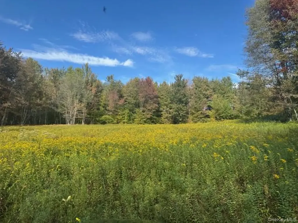 815 Covert Hollow Road Hamden NY 13782