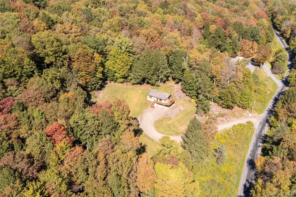 815 Covert Hollow Road Hamden NY 13782