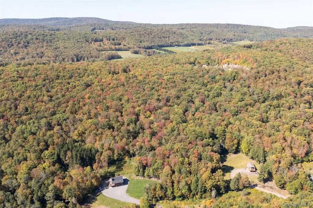 815 Covert Hollow Road Hamden NY 13782