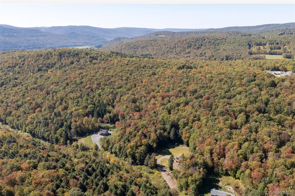 815 Covert Hollow Road Hamden NY 13782