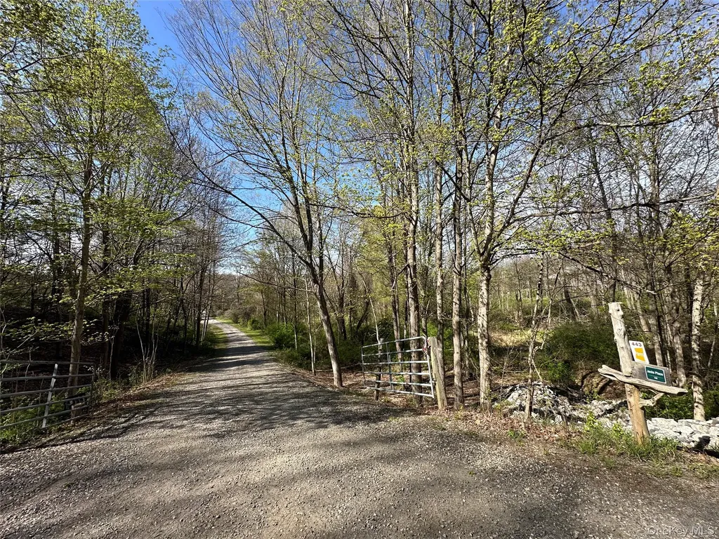 443 Taghkanic Road Elizaville NY 12523