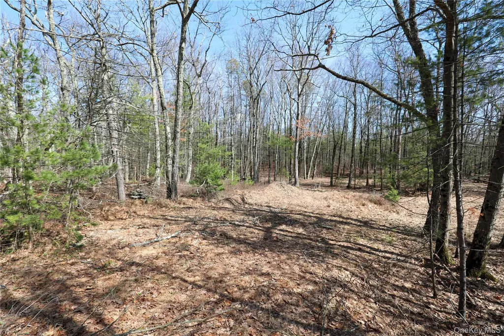 1060 Route 28 Kingston NY 12401