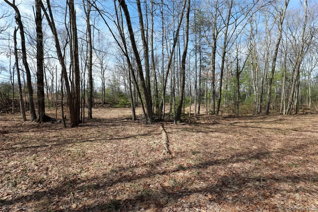 1060 Route 28 Kingston NY 12401